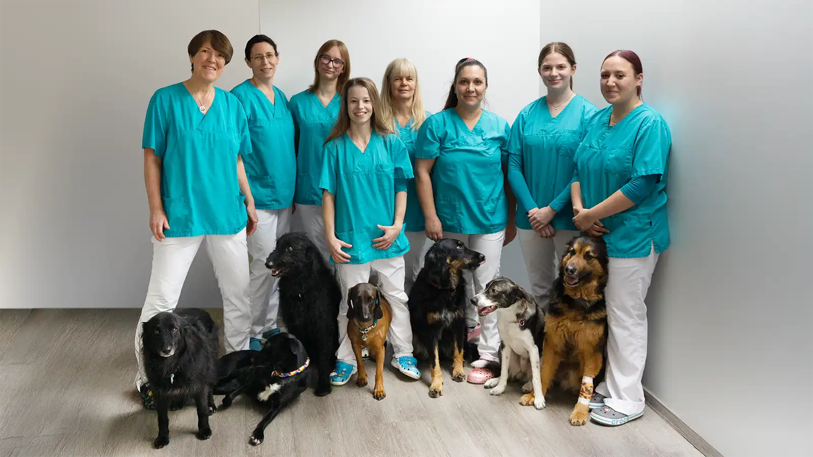 VETS Team VETS Team of 8 team members and 7 dogs