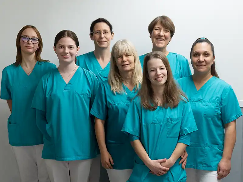 VETS Team 2026-02 VETS Team 2026-02