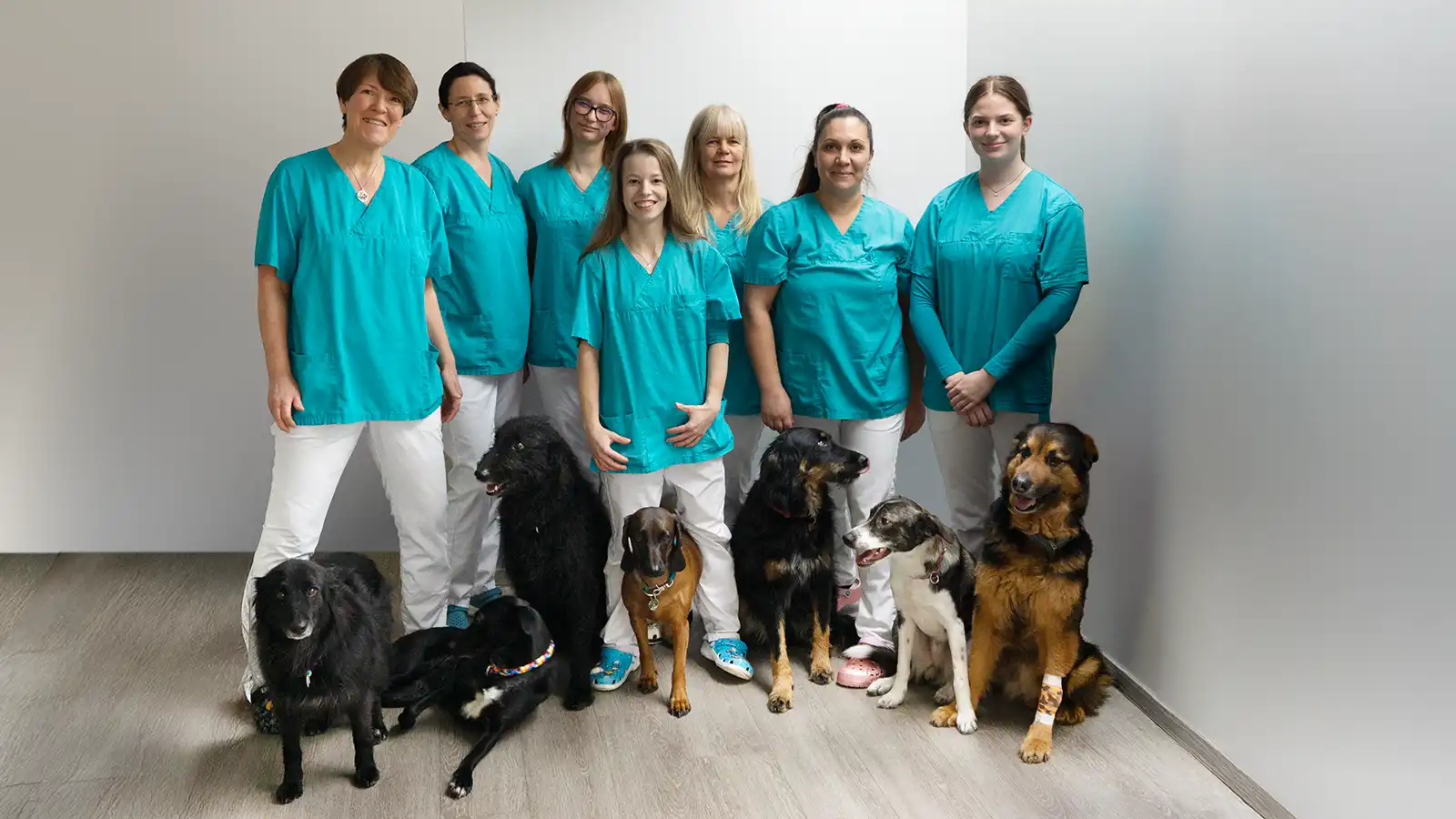 VETS Team 2026-02 VETS Team 2026-02